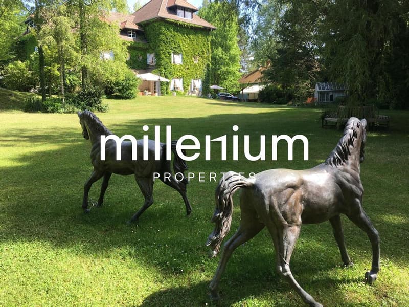 Superbe Villa à 10 minutes du centre d'Annecy (12)