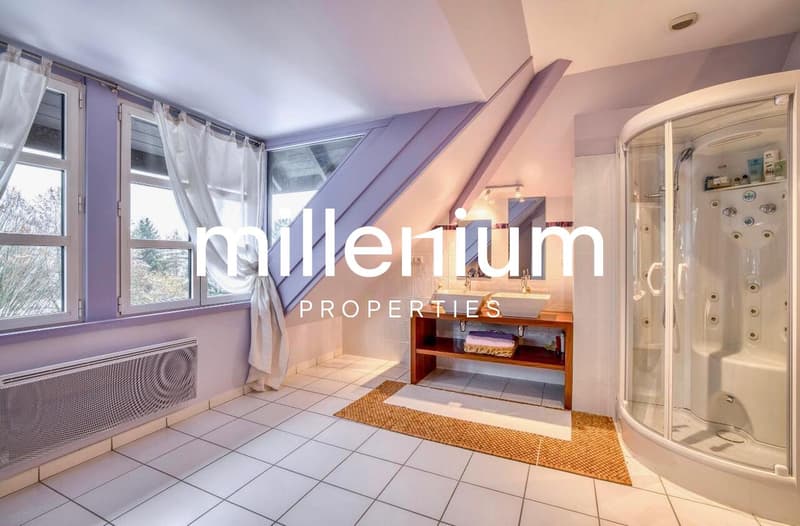 Superbe Villa à 10 minutes du centre d'Annecy (8)