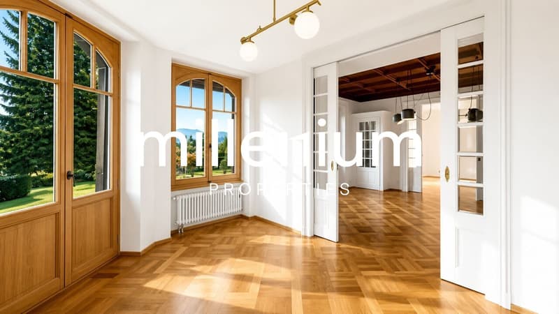 Luxury property in the heart of the Petit-Saconnex diplomatic district (5)
