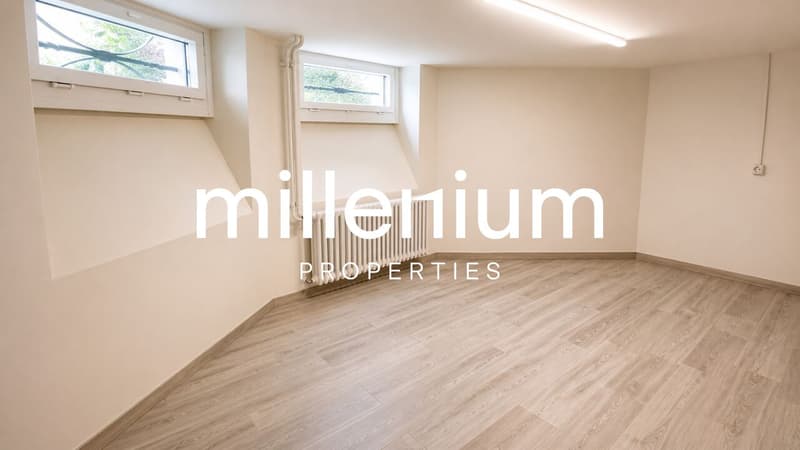 Luxury property in the heart of the Petit-Saconnex diplomatic district (8)