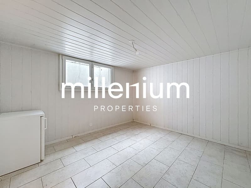 Maison familiale avec jardin à Bellevue (11)