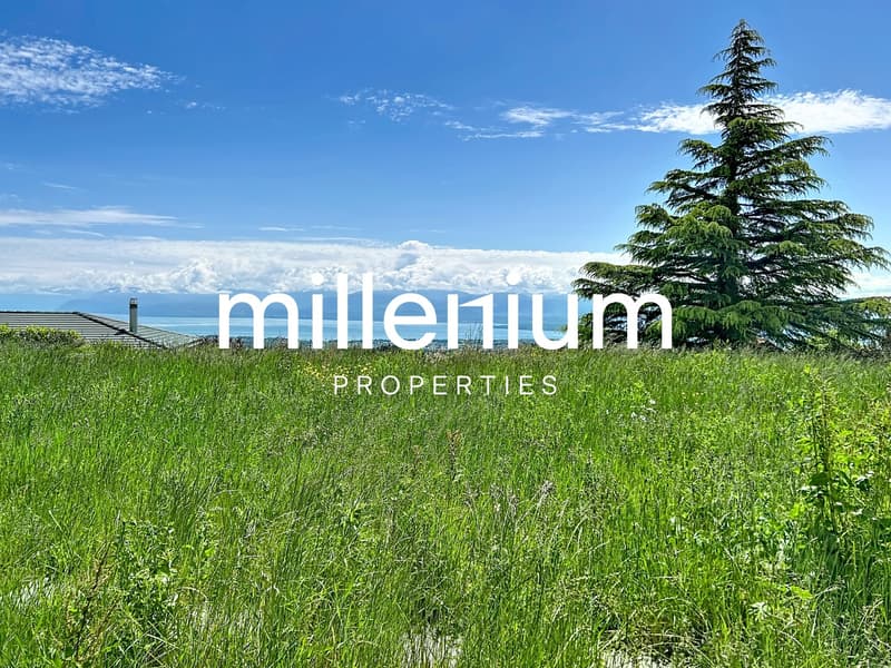Villa d'exception avec vue panoramique sur le lac Léman et les Alpes (13)