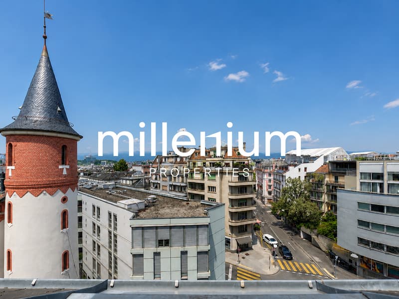 Meraviglioso appartamento attico 5 locali (2)