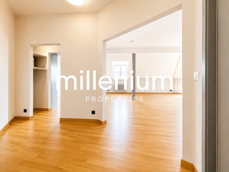 Meraviglioso appartamento attico 5 locali (4)