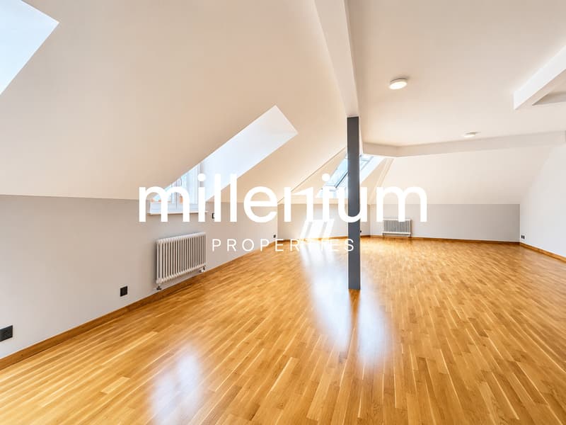 Meraviglioso appartamento attico 5 locali (5)