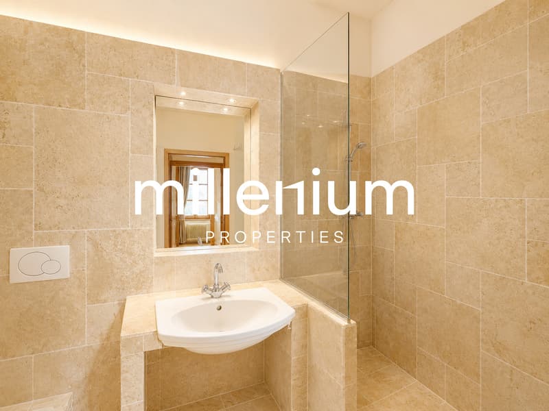 Appartement duplex de charme en rez-de-jardin au Château Barillet --Satigny (10)