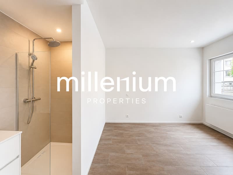 Beautiful duplex renovated in the heart of Gimel (5)