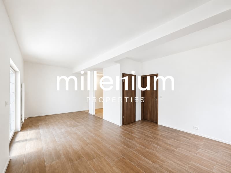 Beautiful duplex renovated in the heart of Gimel (3)