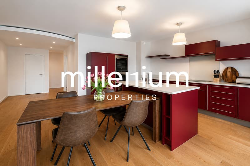 Exceptional 149 m² apartment with terrace in Petit-Saconnex (4)