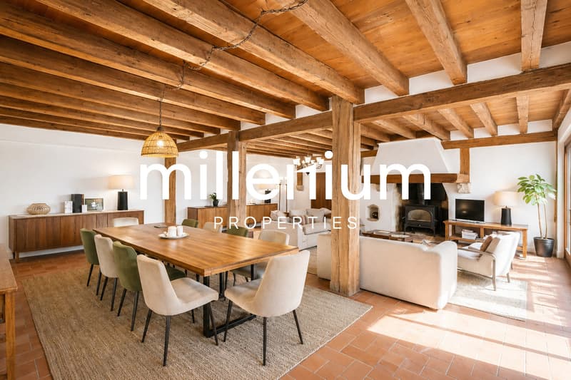 Charming house in the heart of Collex village (5)