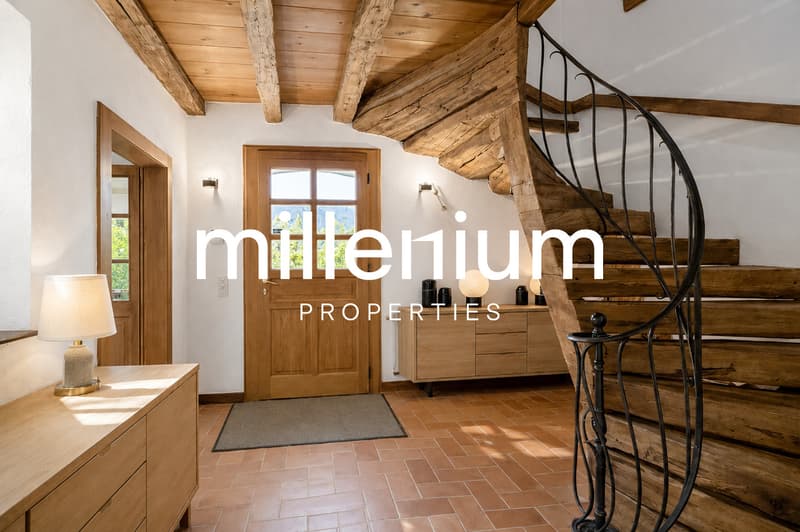 Charming house in the heart of Collex village (2)