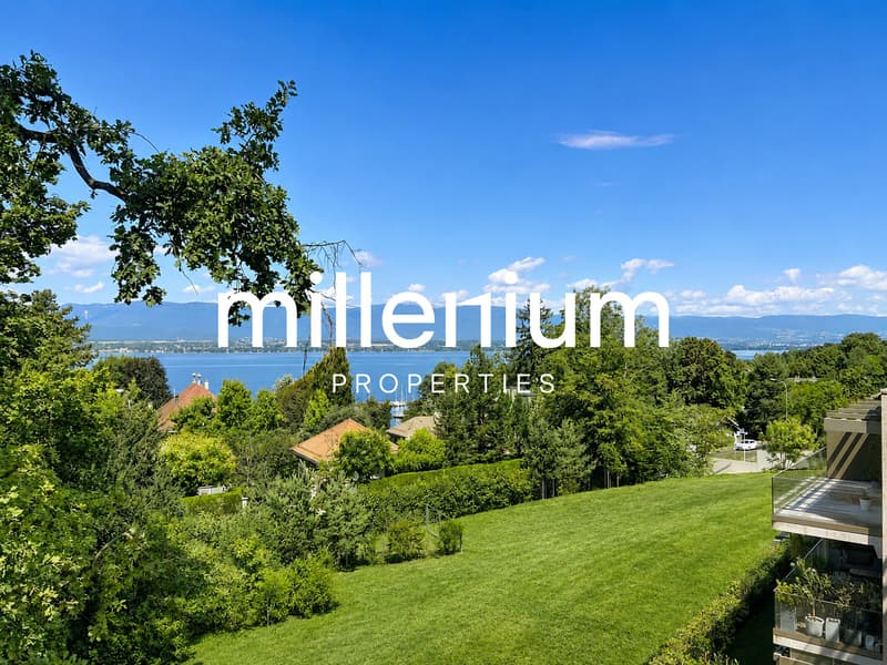 Magnifique duplex neuf vue lac (2)