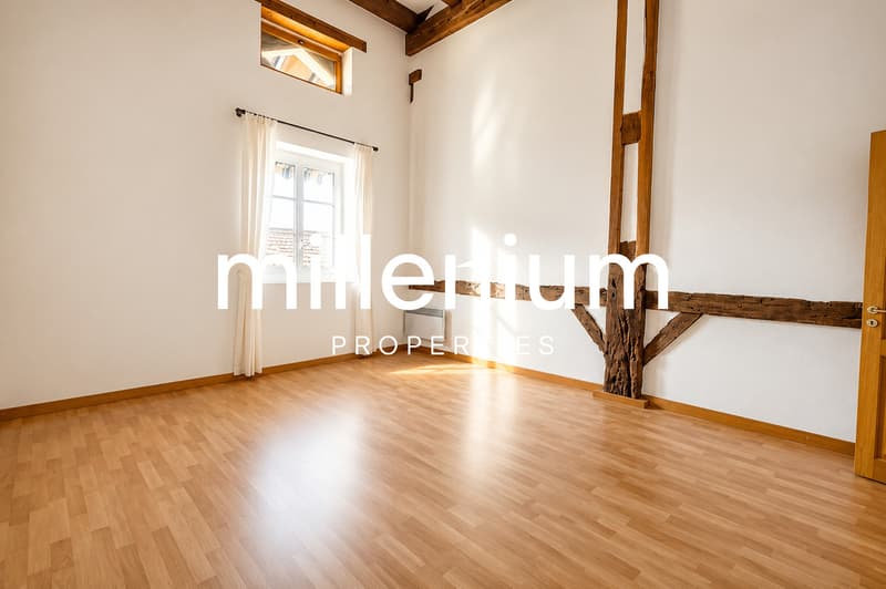 Bella casa affascinante nel cuore della campagna ginevrina (13)