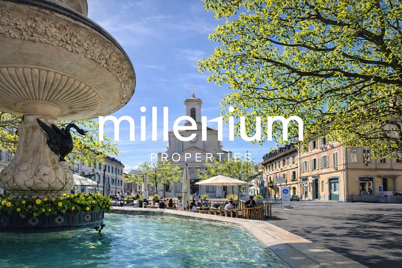 Exceptional Renovated 6-Room Duplex Penthouse in the Heart of Carouge (1)