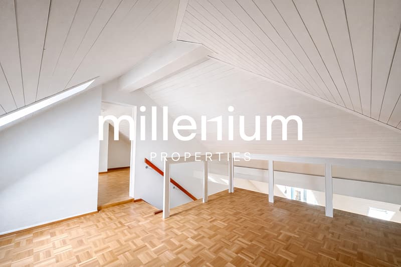 Exceptional Renovated 6-Room Duplex Penthouse in the Heart of Carouge (4)