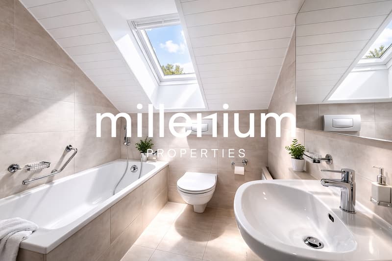 Exceptional Renovated 6-Room Duplex Penthouse in the Heart of Carouge (5)