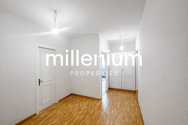 Exceptional Renovated 6-Room Duplex Penthouse in the Heart of Carouge (12)