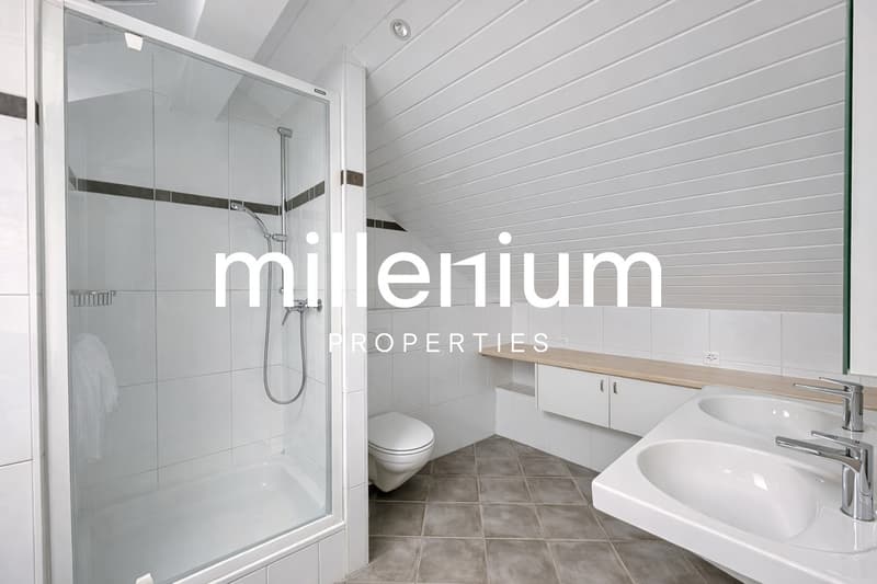 Exceptional Renovated 6-Room Duplex Penthouse in the Heart of Carouge (11)