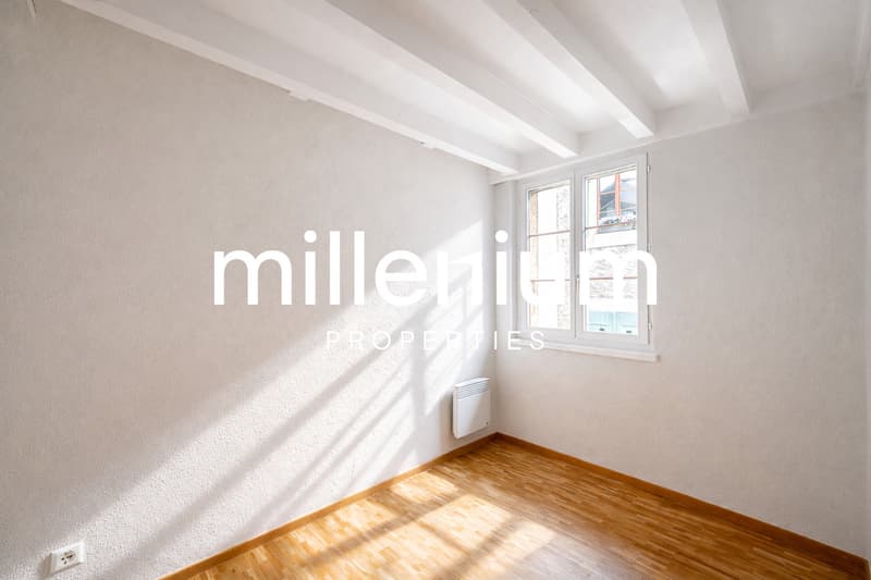 Exceptional Renovated 6-Room Duplex Penthouse in the Heart of Carouge (8)