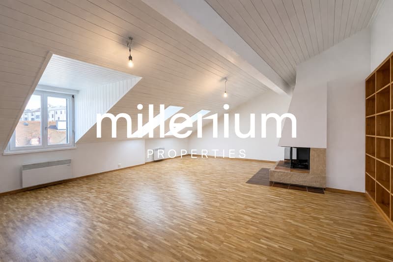 Exceptional Renovated 6-Room Duplex Penthouse in the Heart of Carouge (2)