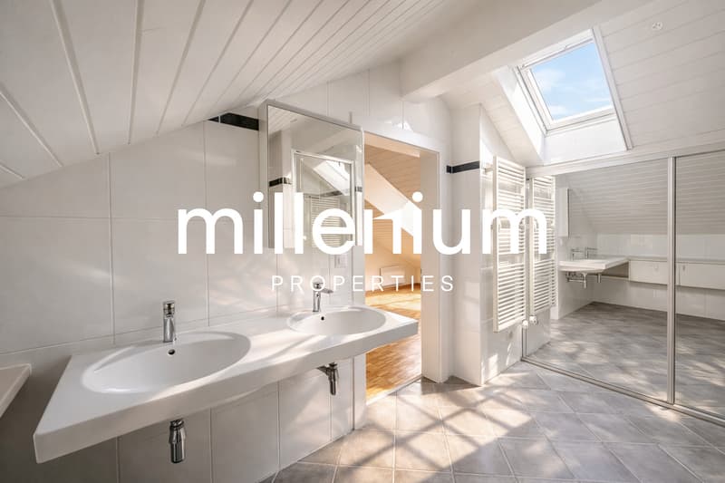 Exceptional Renovated 6-Room Duplex Penthouse in the Heart of Carouge (7)