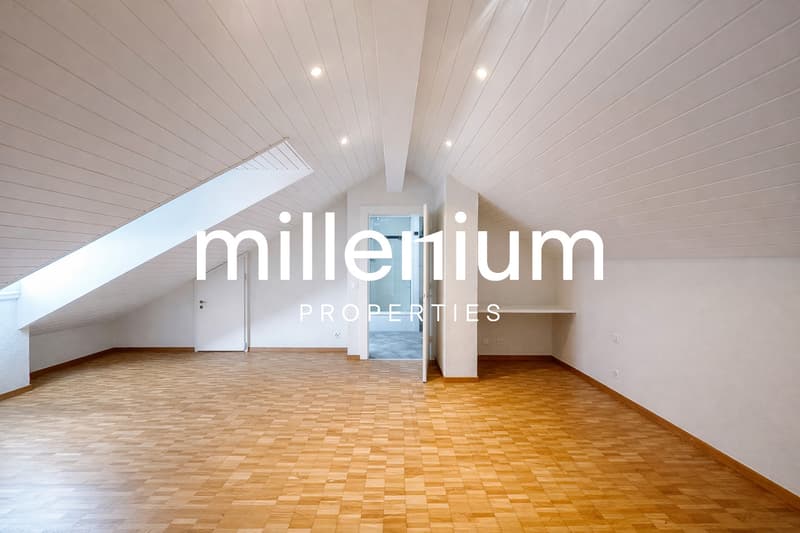 Exceptional Renovated 6-Room Duplex Penthouse in the Heart of Carouge (6)