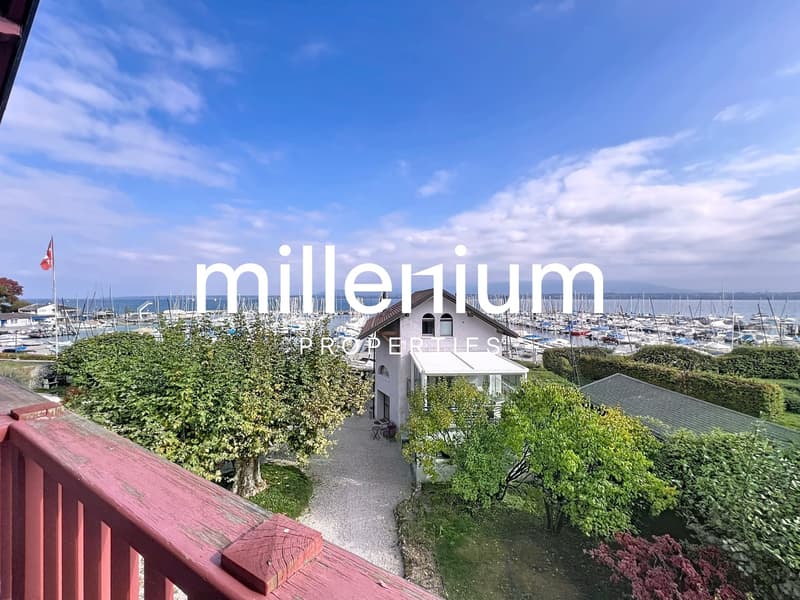 Magnifique villa avec jardin à deux pas du lac (10)