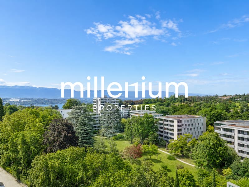 Superbe duplex en attique avec vue Lac et Mont-Blanc à Chêne-Bougeries (1)