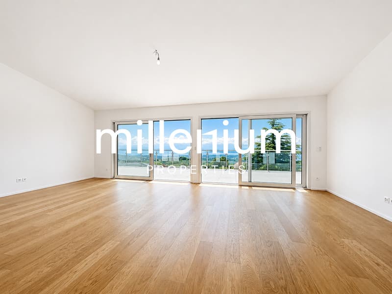 Villa de luxe avec vue imprenable sur le lac Léman et les Alpes (3)