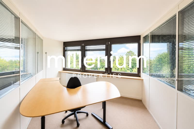 Business center - Espaces de bureaux premium face au lac (1)
