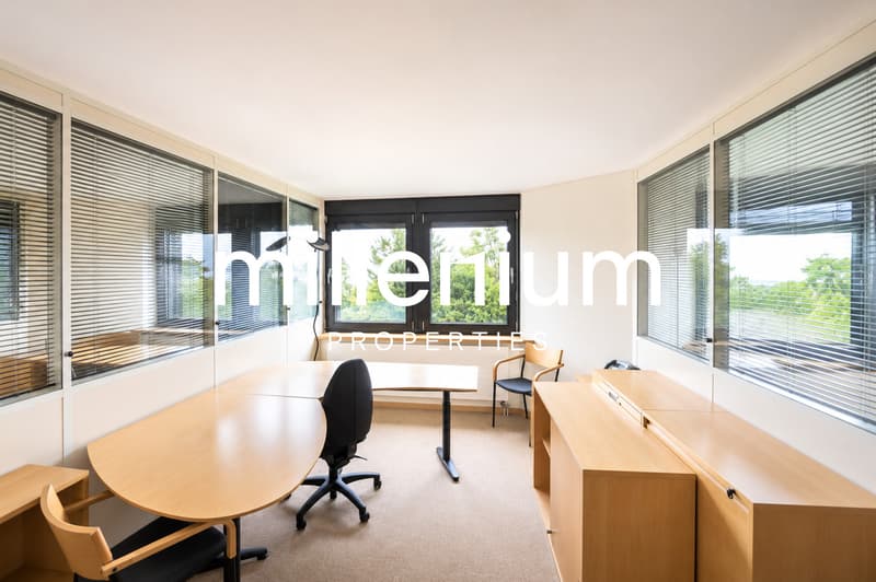 Business center - Espaces de bureaux premium face au lac (5)