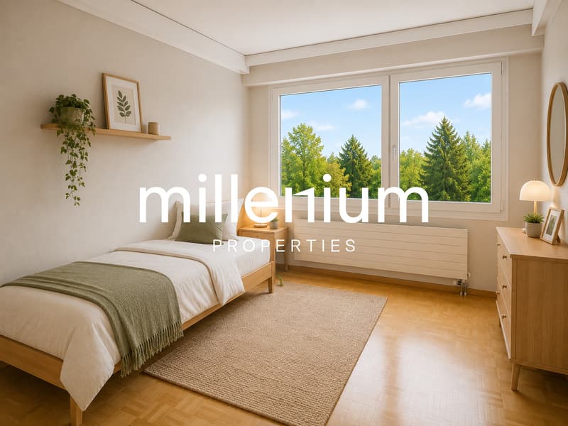 Bel appartement lumineux entièrement rénové (6)