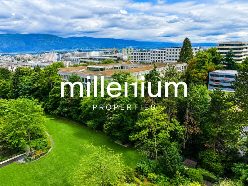 Bel appartement lumineux entièrement rénové (1)