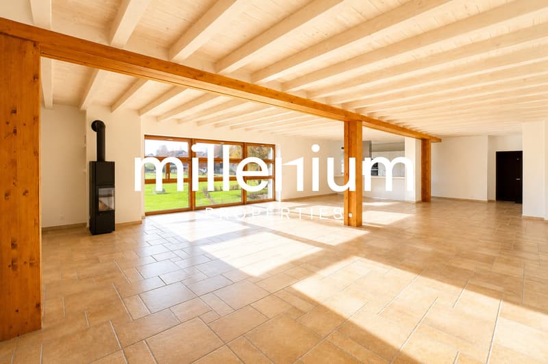 Superbe appartement dans un corp de ferme rénové à Cartigny. (1)