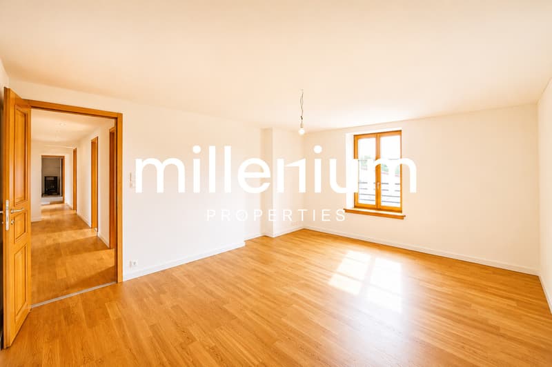 Superbe appartement dans un corp de ferme rénové à Cartigny. (3)