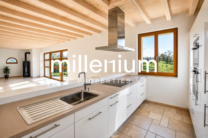 Superbe appartement dans un corp de ferme rénové à Cartigny. (2)