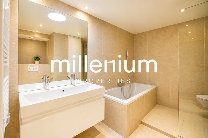 Superbe appartement dans un corp de ferme rénové à Cartigny. (4)
