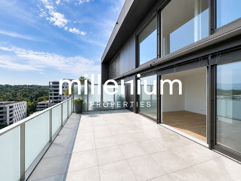 Superbe duplex en attique avec vue Lac et Mont-Blanc à Chêne-Bougeries (2)