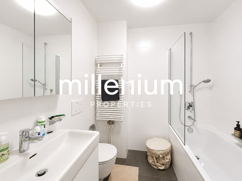 Magnifique appartement en Veille-Ville (9)