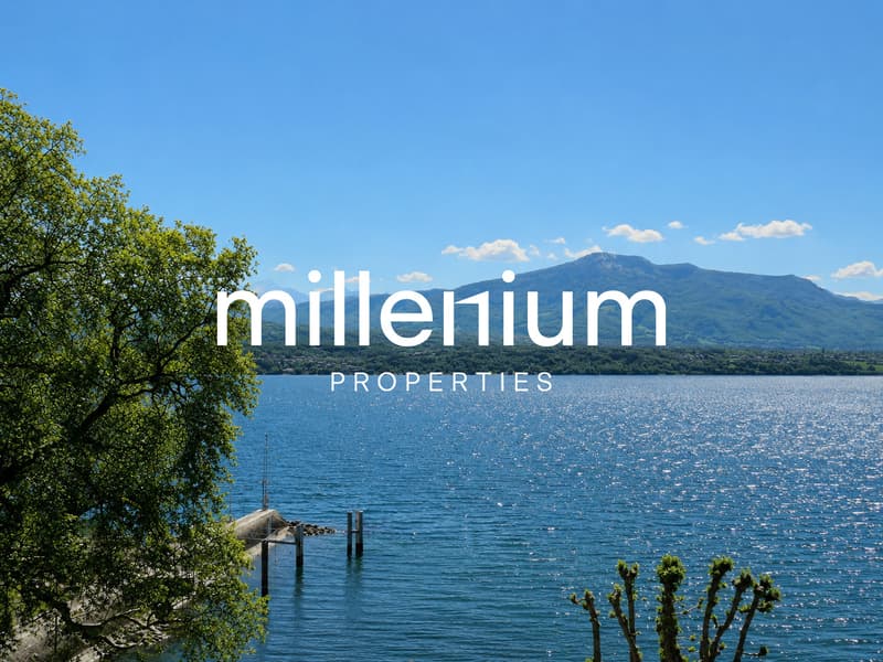 Magnifique duplex avec vue imprenable sur le lac à Nyon (1)