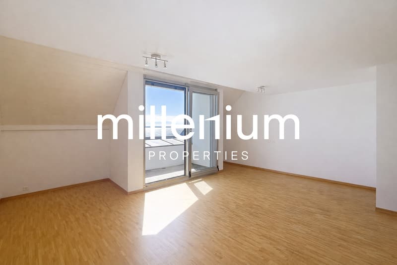 Magnifique duplex avec vue imprenable sur le lac à Nyon (3)
