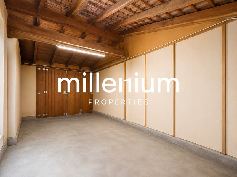 Charmante maison à Bellevue dans un cadre bucolique (13)