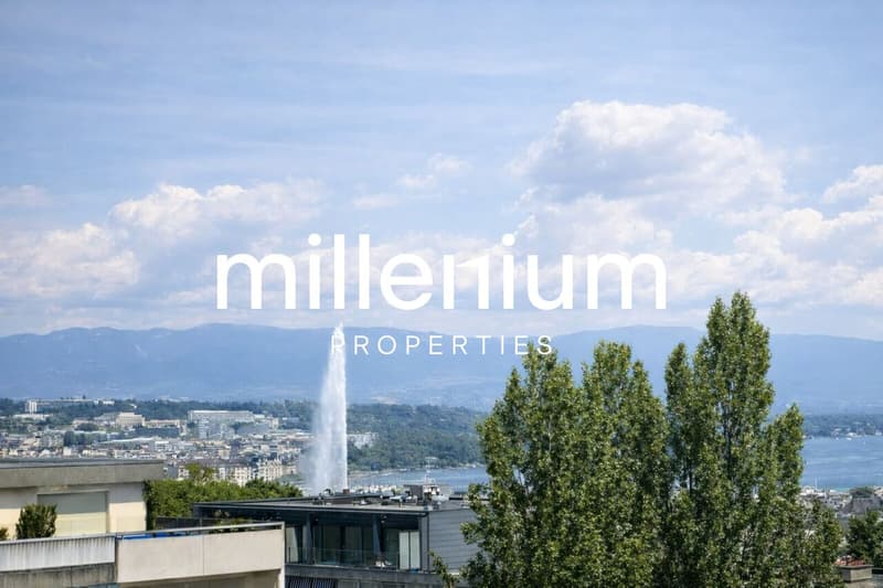 Superbe appartement de 5.5 pièces avec piscine - Malagnou (10)