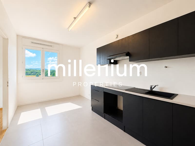 Appartement familial avec terrasse et vue dégagée - Meyrin (2)