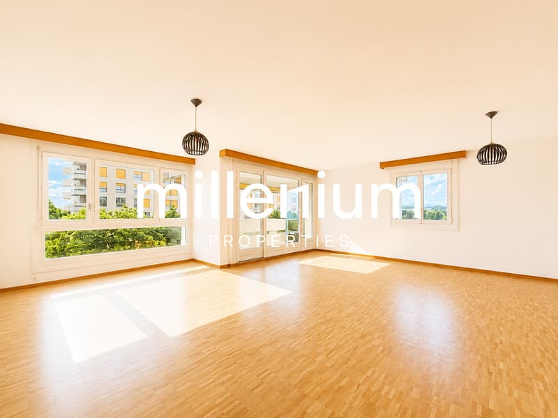 Appartement familial avec terrasse et vue dégagée - Meyrin (11)
