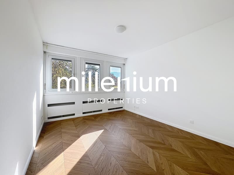 Luxurious apartment near Parc Bertrand, Champel (8)