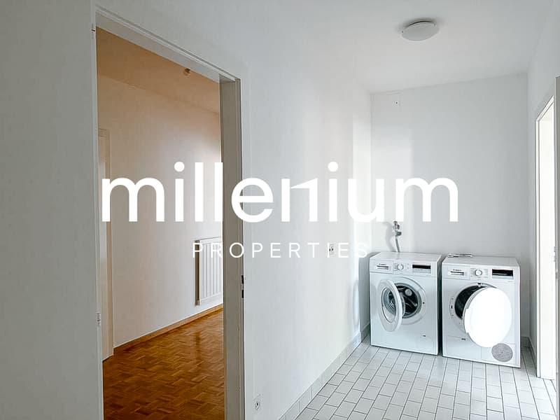 Luxurious apartment near Parc Bertrand, Champel (10)
