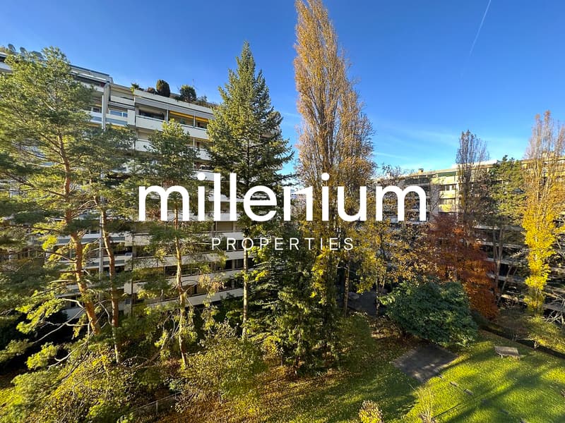 Luxurious apartment near Parc Bertrand, Champel (1)