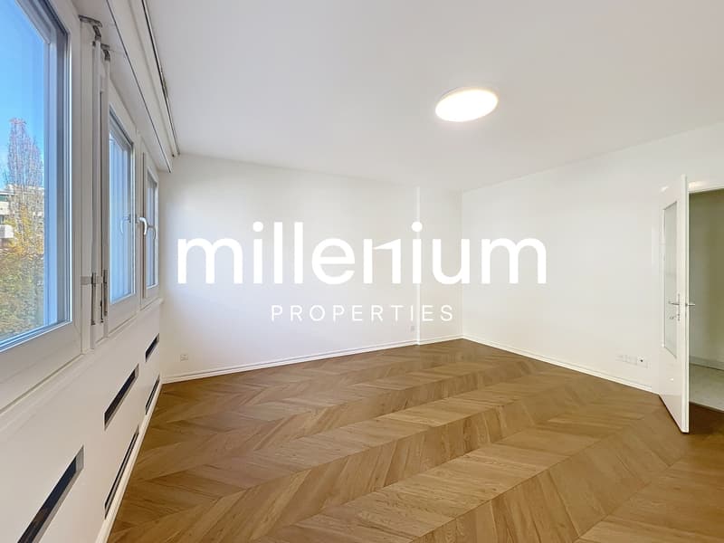 Luxurious apartment near Parc Bertrand, Champel (6)