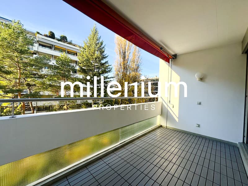 Luxurious apartment near Parc Bertrand, Champel (4)